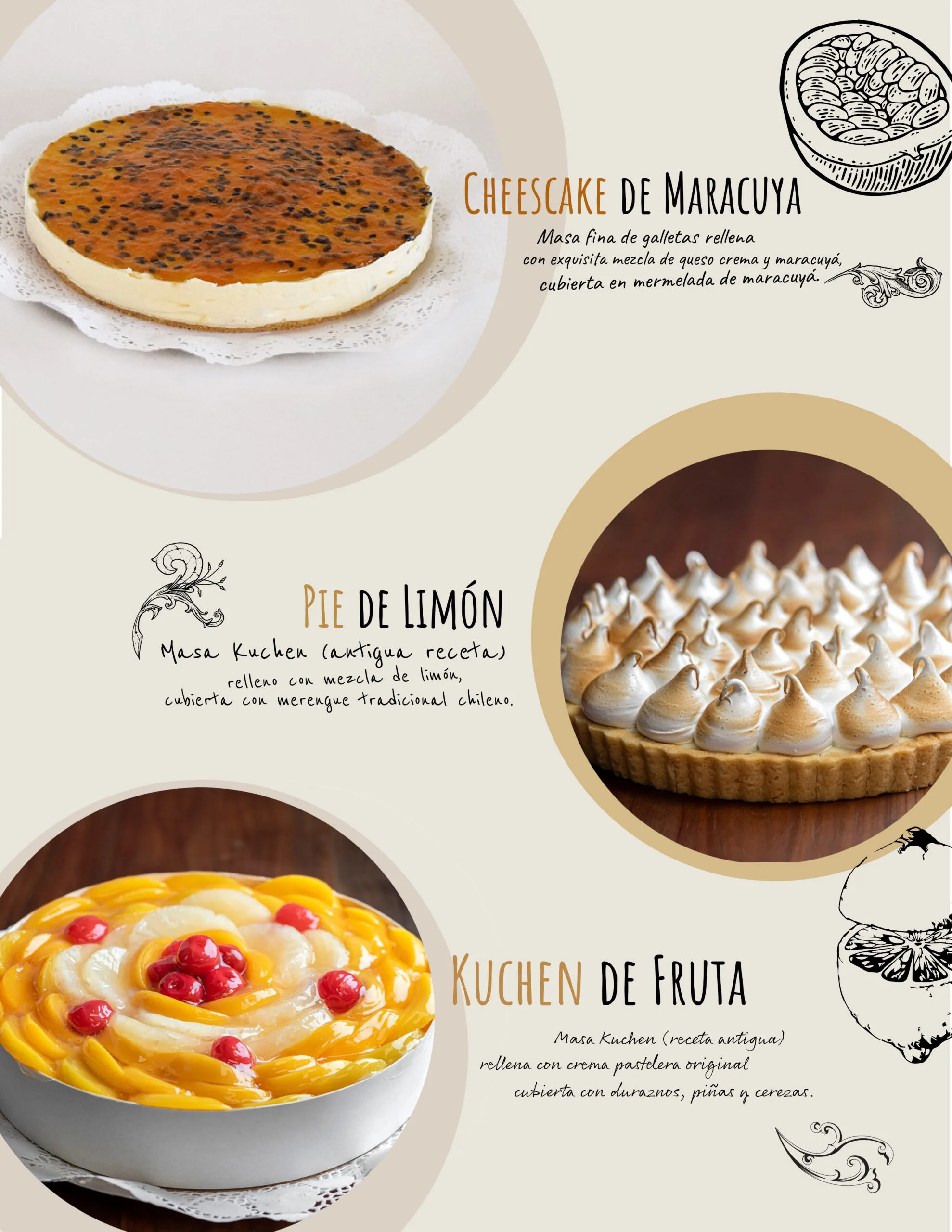 catalogo-5-final