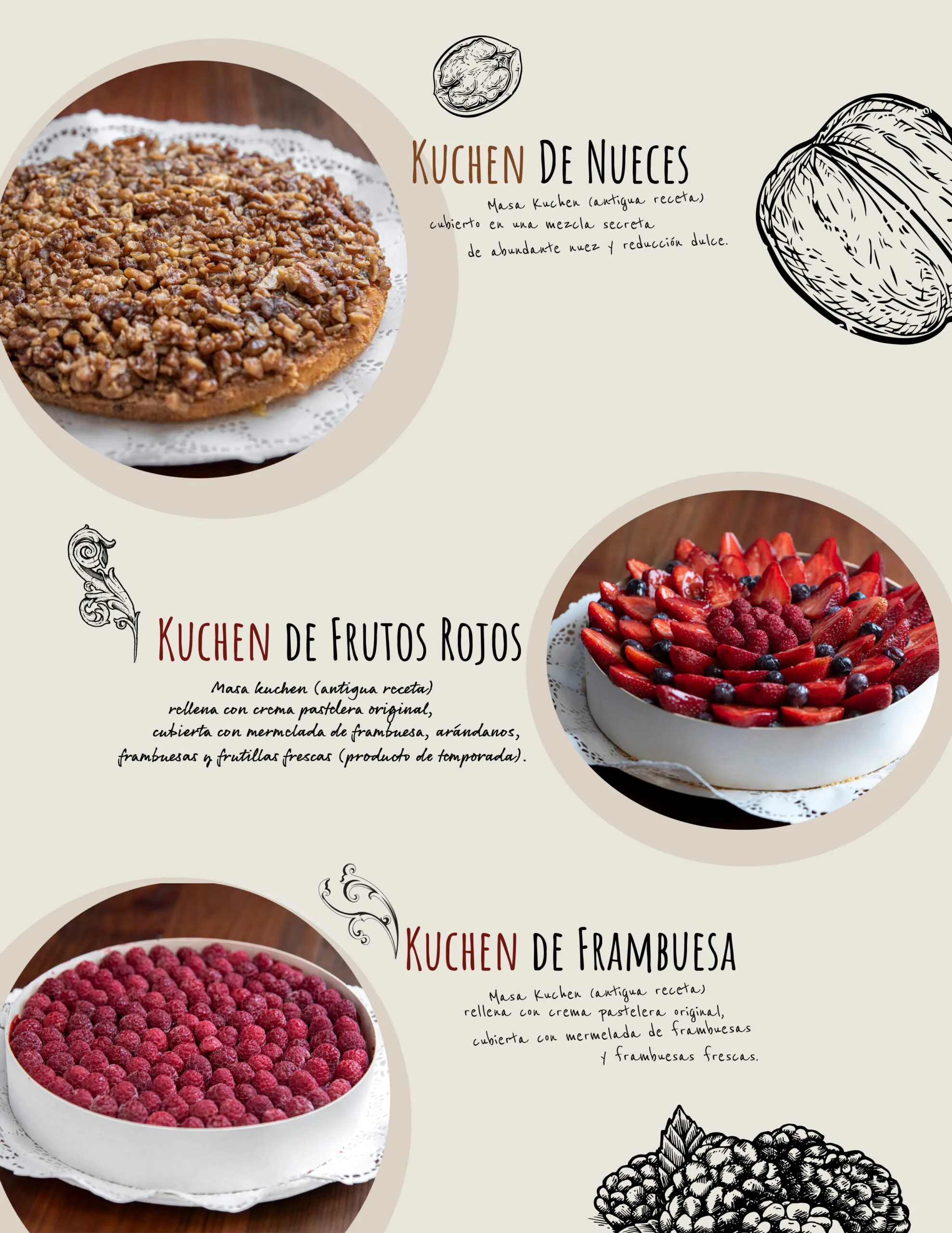 catalogo-6